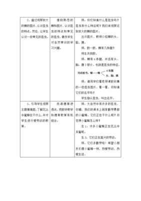 6的乘法口诀教学设计,6的乘法口诀教学设计优质课青岛版六三制