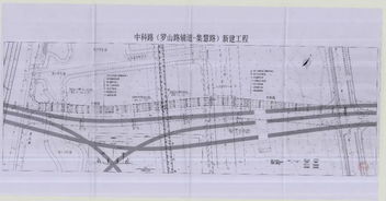 浦东这里拟新建一条道路，设计方案公示中→