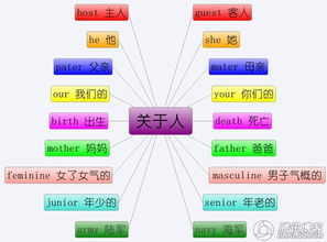 设计方案英文怎么写,设计方案的英语单词