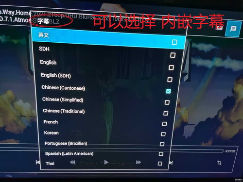 kmplayertv播放器(kmplayer plus divx codec  影视播放器音乐播放器) 20240417更新