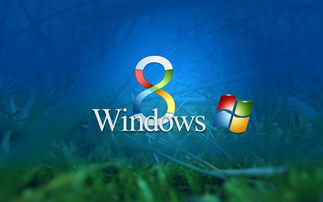 有windows8系统吗(电脑有win8吗) 20240424更新