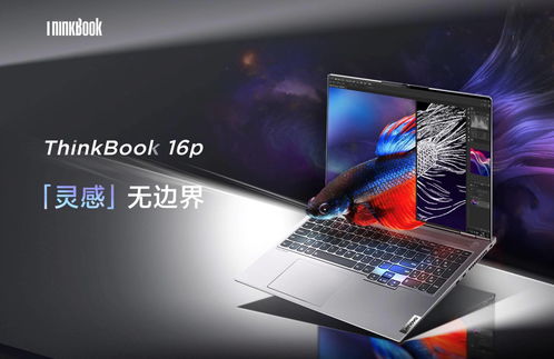 thinkbook(thinkbook16和16+的区别) 20240425更新