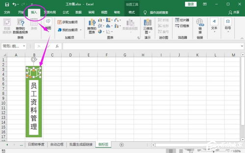 excel制作表格教程(制作excel表格全步骤视频教程) 20240516更新