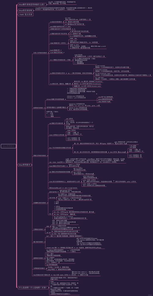 linux常用命令实验报告(linux常用命令实验报告图片) 20240526更新