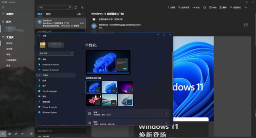 全新windows11(全新windows) 20240605更新