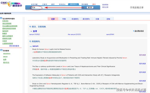 英文转换器在线翻译(英文转换器在线翻译语音) 20240628更新