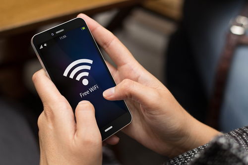 手机怎样联网和wifi(手机怎样联网啊) 20240708更新