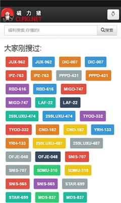 磁力种子搜索器下载(磁力链搜索器引擎) 20240820更新