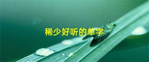 稀少好听的单字(稀少好听的单字女繁体) 20241006更新