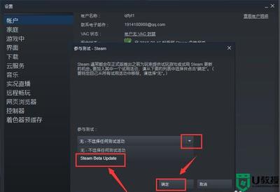 steam无法连接到网络(steam无法连接到网络怎么办105) 20241104更新