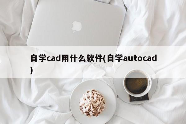 自学cad用什么软件(自学autocad) 20240715更新