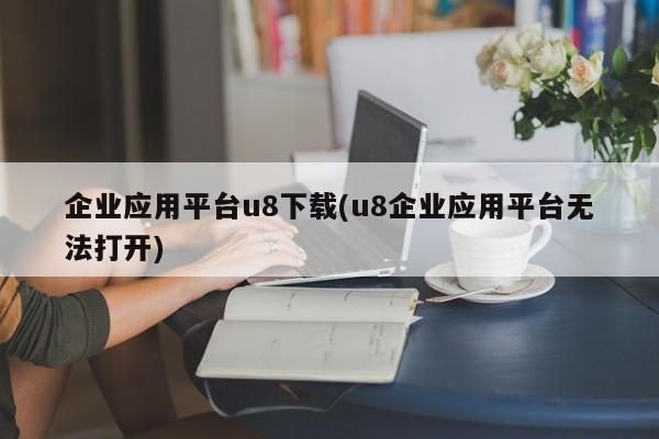 企业应用平台u8下载(u8企业应用平台无法打开) 20240717更新