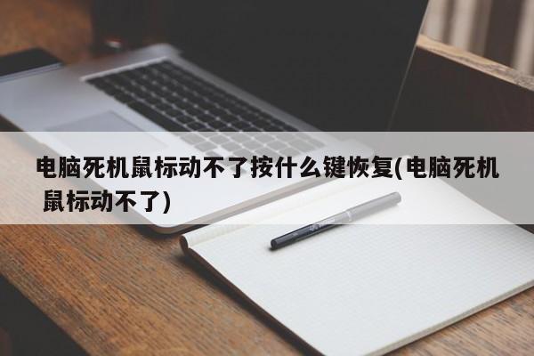 电脑死机鼠标动不了按什么键恢复(电脑死机 鼠标动不了) 20240719更新