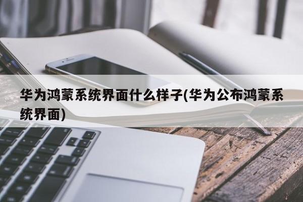 华为鸿蒙系统界面什么样子(华为公布鸿蒙系统界面) 20240719更新