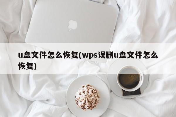 u盘文件怎么恢复(wps误删u盘文件怎么恢复) 20240721更新