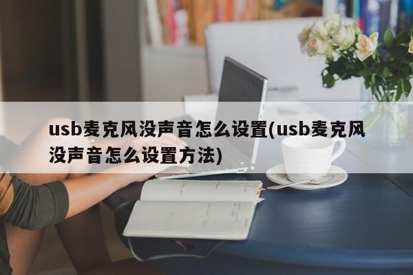 usb麦克风没声音怎么设置(usb麦克风没声音怎么设置方法) 20240722更新