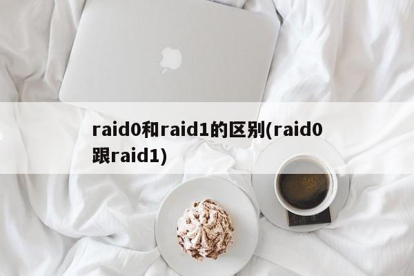 raid0和raid1的区别(raid0跟raid1) 20240722更新